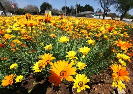 الطقس: موجة حرّ في أول أيام رمضان