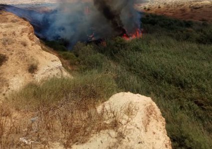 بفعل الطائرات الورقية.. حريق كبير بحقول "ناحال هبسور" شرقي خانيونس