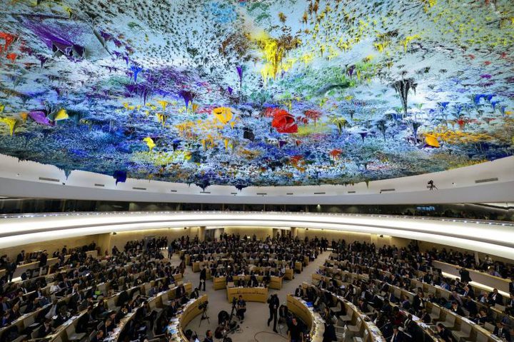 مصر والسعودية تؤكدان ضرورة اتخاذ موقف حازم لوقف معاناة الفلسطينيين والانتهاكات الإسرائيلية
