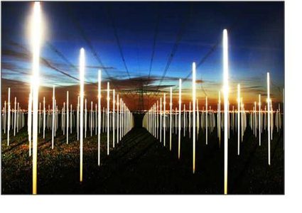 ما هي تأثيرات الأشعة الكهرومغناطيسية على الحياة البرية ؟