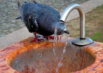 اجواء جافة وحارة