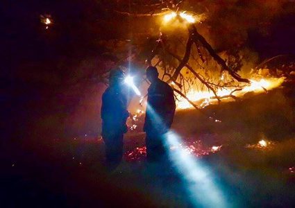 إطفائية نابلس: (300) حريق خلال ثلاثة أيَّام سببها استهتار المواطنين