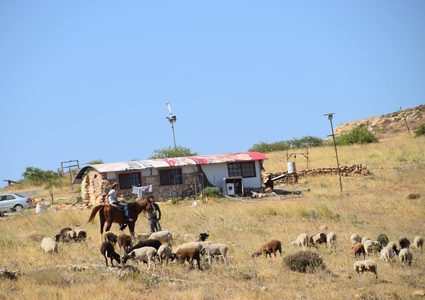 بالصور: مستوطنون يضيقون الخناق على رعاة الأغنام