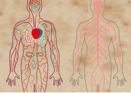 هل يؤثر مرض إنفصام الشخصية على الجسم ؟
