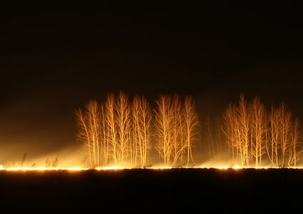 تغريم طفل أمريكي  36 مليون دولار!