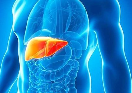 7 طرق للحفاظ على صحة الكبد!