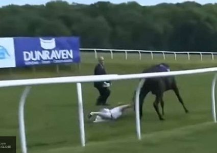 فتاة شجاعة تسيطر على حصان هائج! (فيديو)