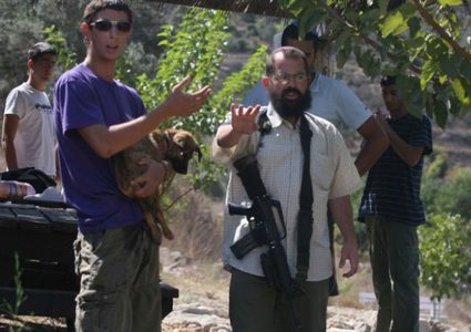 بيت لحم: مستوطنون يقطعون العشرات من الأشجار المثمرة