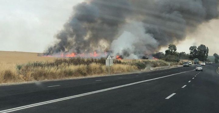 هذه هي خسائر اسرائيل بفعل الطائرات الورقية