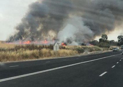 هذه هي خسائر اسرائيل بفعل الطائرات الورقية