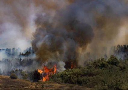 غزة: طائرة ورقية حارقة تشعل حريقاً في "ناحل عوز"