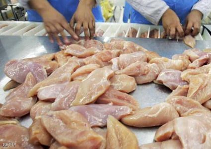 سلامة الدجاج الأميركي على المحك!