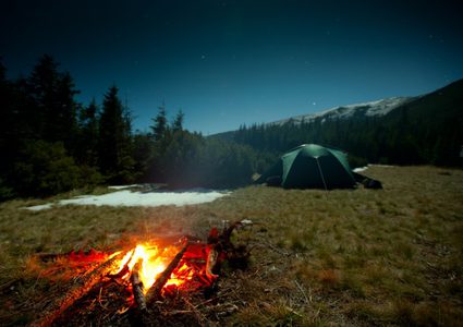 رجل يعيش في غابة فرنسية ويروع سكان قرية