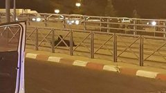 الاحتلال يمدد اعتقال الأسيرة المصابة صبيح