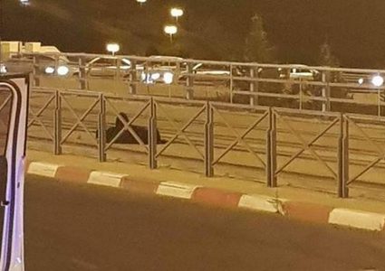 الاحتلال يمدد اعتقال الأسيرة المصابة صبيح