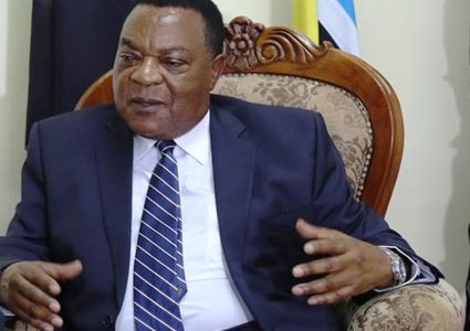 وزير الخارجية التنزاني ومتضامنون يقدمون واجب العزاء بشهداء فلسطين