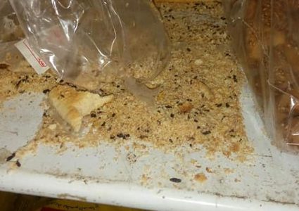 لجنة السلامة العامة تغلق متجراً في بلدة بديا