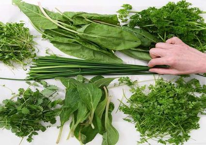 أكثر الأعشاب فائدة لجسم الإنسان!