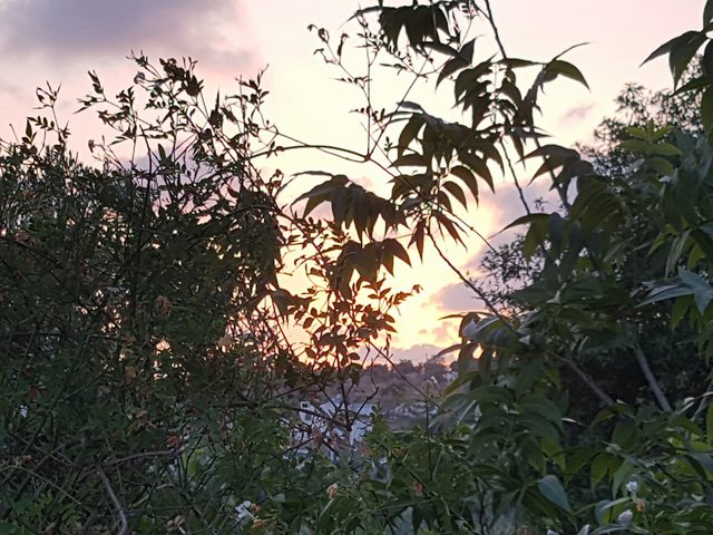 الطقس: أجواء ربيعية لطيفة حتى السبت