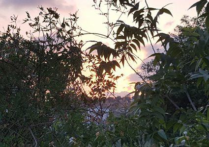 الطقس: أجواء ربيعية لطيفة حتى السبت