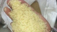 "الاقتصاد الوطني" تضبط أكثر من 40 طن أرز فاسد في نابلس