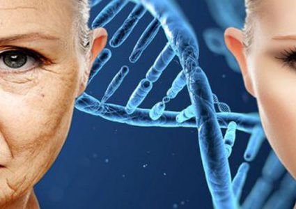 ما هو أول شيء يخسره دماغ الإنسان عندما يتقدم في السن ؟