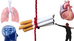 تعرف على أخطر ما تقوم به شركات التبغ