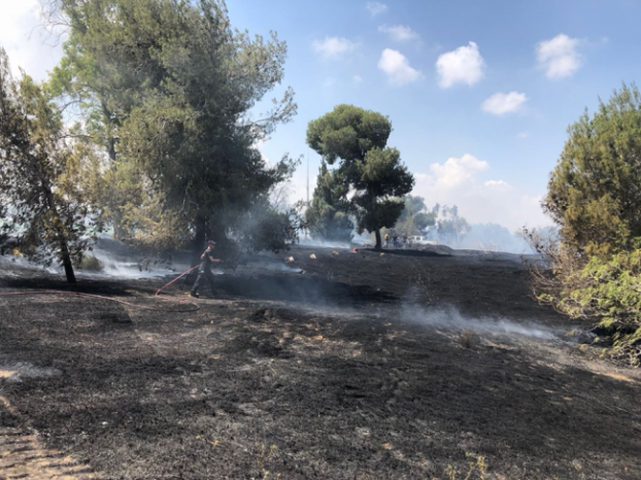 اندلاع حريق في مستوطنة "العين الثالثة" بفعل طائرة حارقة