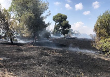 اندلاع حريق في مستوطنة "العين الثالثة" بفعل طائرة حارقة