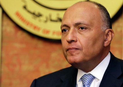 شكري يطلع وفدا من مجلس النواب الأميركي على مخاطر التصعيد في فلسطين