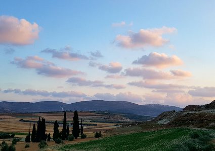الطقس: ارتفاع طفيف على درجات الحرارة اليوم