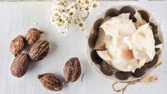 زبدة الشيا.. ذهب المرأة الأصفر