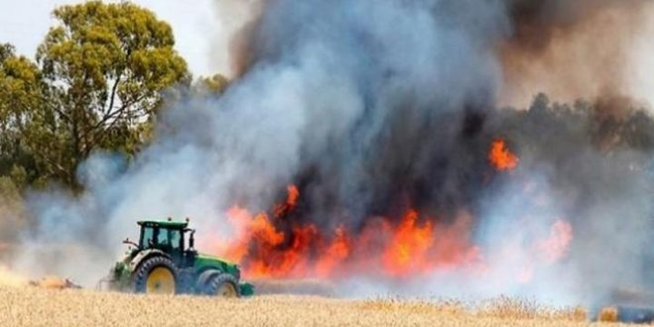 يديعوت: اندلاع النيران في كيبوتس “نير عام” بفعل طائرة ورقية حارقة