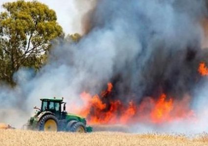 يديعوت: اندلاع النيران في كيبوتس “نير عام” بفعل طائرة ورقية حارقة