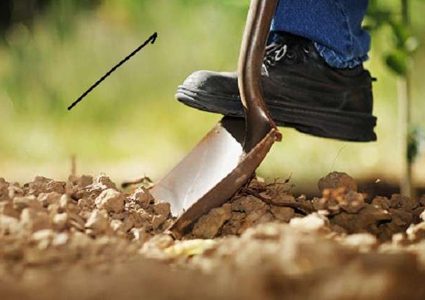 جريمة تم إكتشافها بعد أكثر من 20 عامًا !