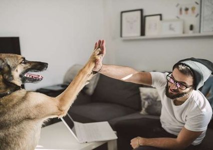 هل تكون الكلاب سبب تفشي إنفلونزا قاتلة بين البشر؟