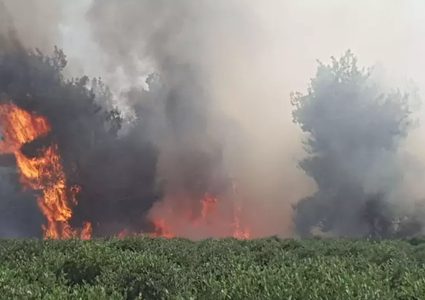 45 حريقا في مستوطنات غلاف غزة اليوم بسبب الطائرات الورقية