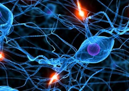 علماء يحولون الدم إلى خلايا عصبية!