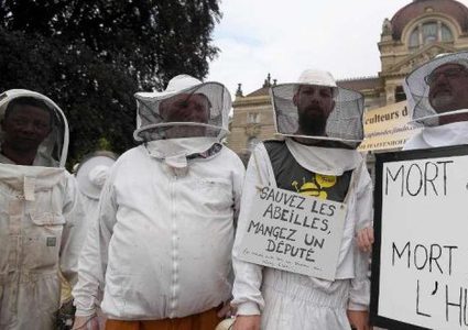 نشطاء ومربّون يقيمون جنازة رمزية للنحل احتجاجاً على استخدام المبيدات