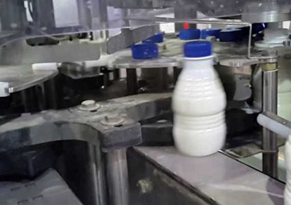 إيقاف معمل تصنيع أجبان عن العمل في جنين