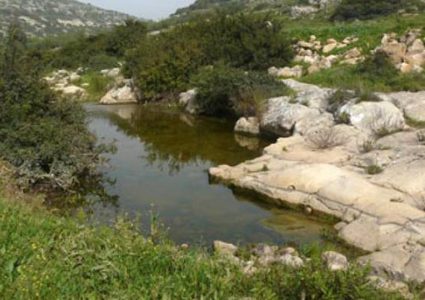 "البيئة" تدعو لزيارة المحميات الطبيعية المهددة بالاستيطان