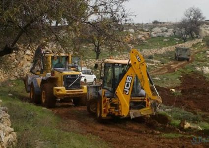 مستوطنون يعتدون على الأراضي ويقطعون الأشجار