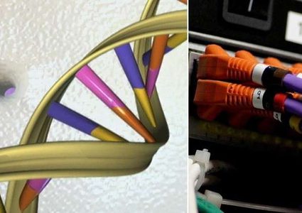 تطوير نماذج شبيهة بالحمض النووي البشري لتخزين البيانات الشخصية