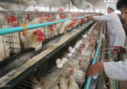 تحذير من تحول "إنفلونزا صينية" لوباء عالمي