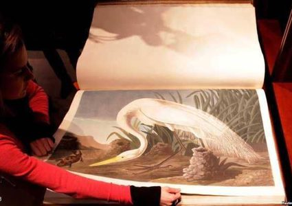 "طيور أميركا".. نسخة نادرة مقابل 9.6 مليون دولار