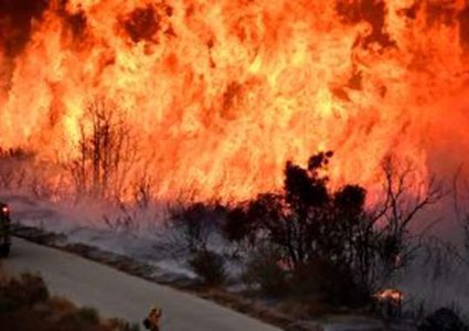 اندلاع حرائق في مستوطنات غلاف غزة والحرارة ساعدت في انتشارها