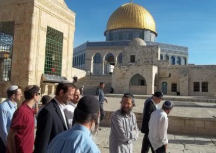 مستوطنون يقتحمون الأقصى ويشتمون نساء وحارسات داخله (فيديو)