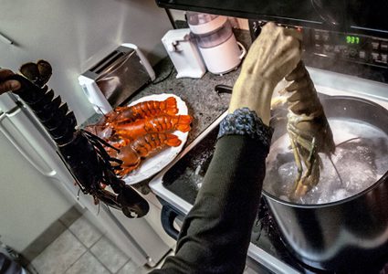 سويسرا: قانون جديد يمنع غلي الكركند قبل صعقه بالكهرباء لتجنب تعذيبه!