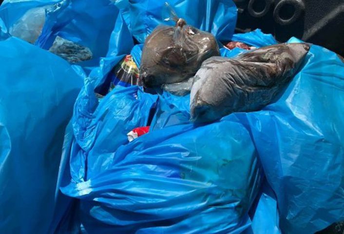 "الاقتصاد" تغلق ملحمتين بعد ضبط لحوم فاسدة