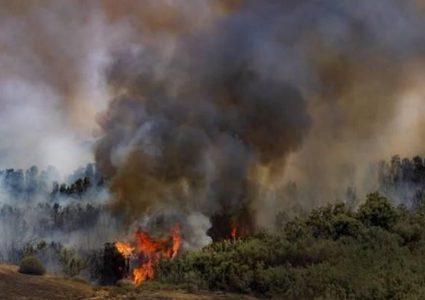 حريق في "بئيري" بفعل بالون حارق